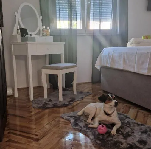 Apartment With E-Cars Station