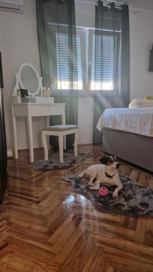 Apartment With E-cars Station *