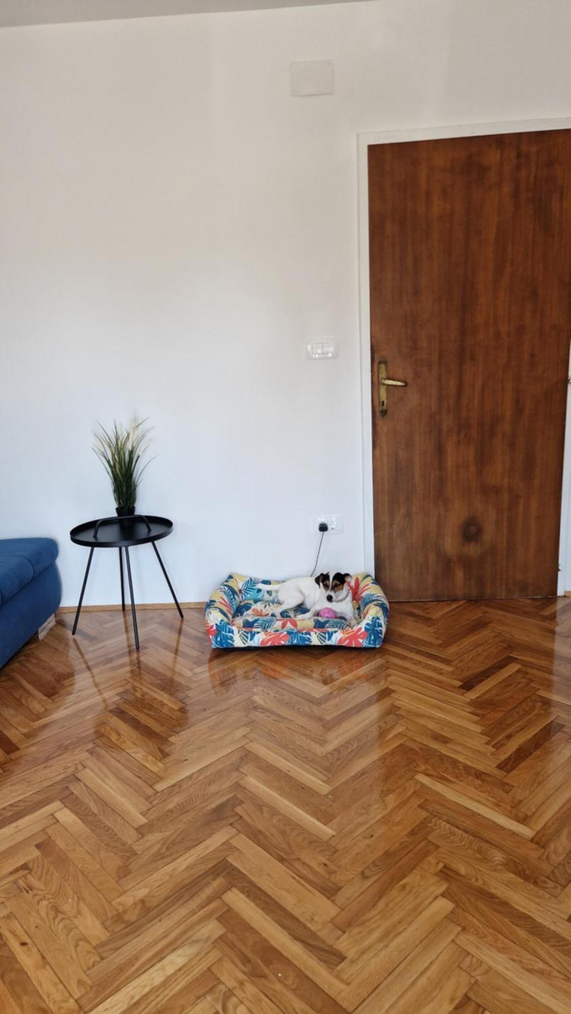 Apartment With E-cars Station